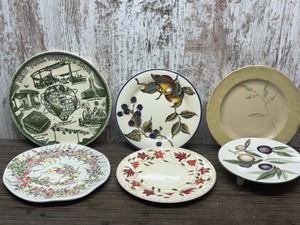 6 PC Plate Collection