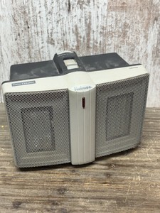 Ceramic Heater