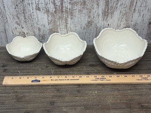 Shell Bowl Set