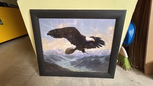Eagle picture