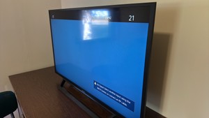 Sony Flat-Screen TV
