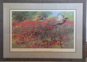 Wm. Weineke Signed Pheasant Print - Flaming September, Numbered 360580