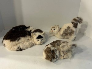 Realistic Real Fur Cat Figures - Varied Positions