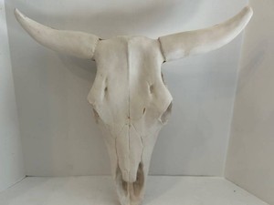 Realistic Ceramic Western Longhorn-Style Bull Skull Wall Decor