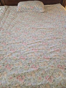 Laura Ashley Floral Twin Comforter With Pillow Sham