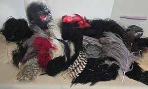 Colored Feather Assortment Mixed Lot