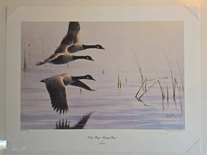 Gary Moss Silent Wings Canada Geese Signed Print 20033800