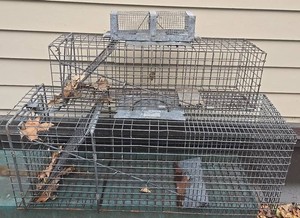 3 Galvanized Wire Animal Trap Mixed Lot