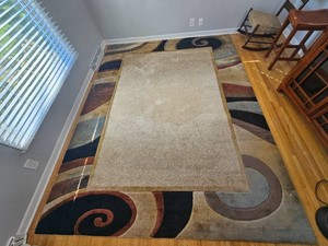 Contemporary Earth Tone Tufted Area Rug with Spiral Border