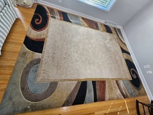 Contemporary Earth Tone Tufted Area Rug with Spiral Border