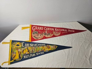 Vintage National Park Collection Pennants