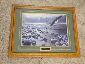 Eagle Over Water by Kevin Daniel Print