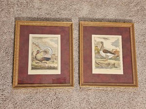 Naturalist Bird Profiles Buffons Prints Turkey & Goose