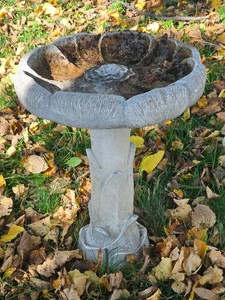 Concrete Flower Sculptural Birdbath