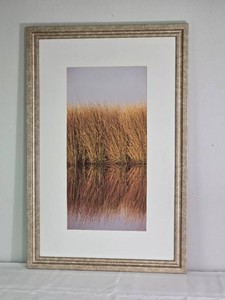 Framed Golden Marsh Grass Reflection Wall Art