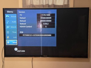Panasonic Viera Flat Screen Television - 1170-1000