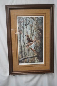 Rascals - Red Squirrel by James Kennedy 30 x 21 signed and numbered 101780 framed and matted