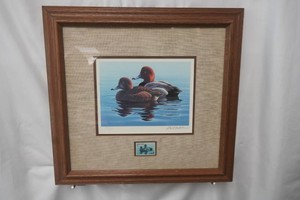 1982 Minnesota Duck Stam Print by Phil Scholer signed and numbered 19 x 18 35316500 framed and matted
