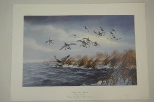 Windy Point-Bluebills by David A. Maas signed and numbered 22004000