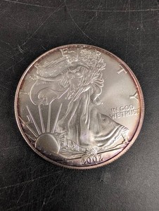 2002 American Silver Eagle One Dollar Coin