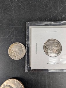 Buffalo Nickel Coin Group