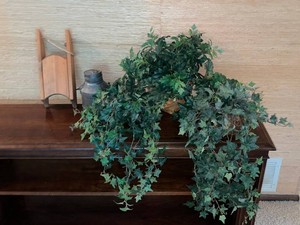 Artificial Ivy Decor - Mixed Estate Grouping