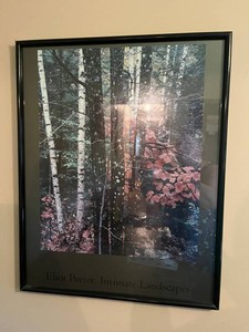 Framed Nature Photography Print - Eliot Porter Intimate Landscapes