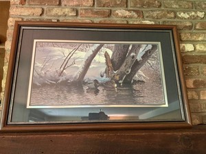 Wildlife Art Print - Guy Coheleach Signed Framed Winter Ducks