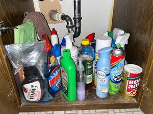 Cleaning Supplies - Windex, Pine-Sol, Febreze & Assorted Mixed Lot - quantities unverified