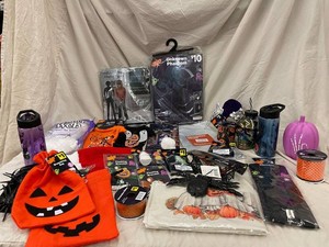 Halloween Decor, Costumes & Accessories Mixed Lot