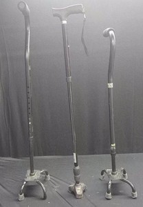 3 CANES