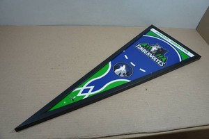 Minnesota Timberwolves Framed Rigid Pennant