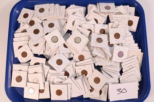Foreign Coin Lot