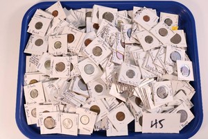Foreign Coin Lot