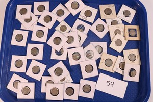 Buffalo Nickel Lot