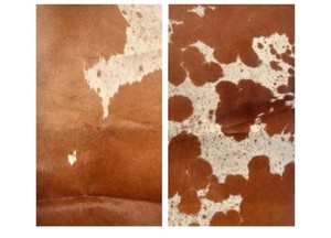 $38 Genuine Cowhide Leather Pieces, Natural Mixed Colors, Decorative Hair-On Hide Squares 24 x 12 inch (Pack of 2) (Black) (see photos for true colors)