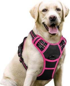 $26 rabbitgoo Dog Harness, No Pull for Large Dogs with 2 Leash Clips, Pet Vest