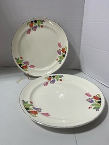 Vintage Hall Crocus Pattern 9 Dinner Plates