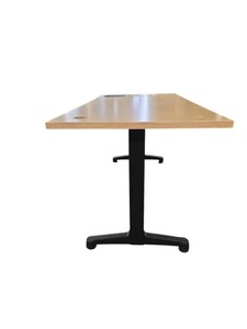 Multi-Purpose Training Table