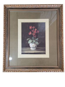 framed print of an auricula flower still-life painting