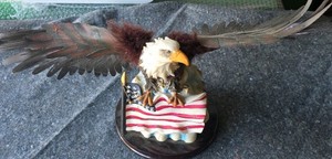 true patriot flag and eagle display