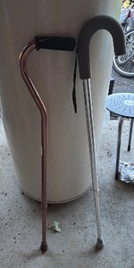 2 canes