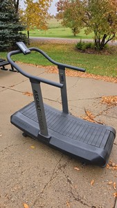 Assault Fitness AirRunner