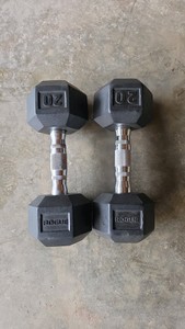 Rogue 20 lb Dumbbell Pair
