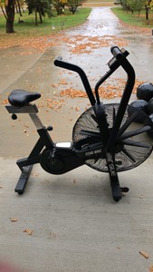 Rogue Echo Bike #1