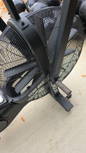 Rogue Echo Bike #2