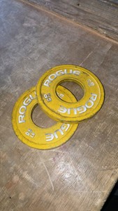 Pair of 0.5 lb Barbell Plates