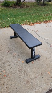 Rogue Flat Bench #1