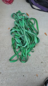 Rogue Green Mobility Bands