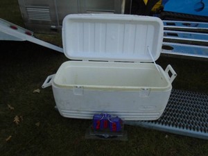 Igloo cooler. As shown. 40 quart.